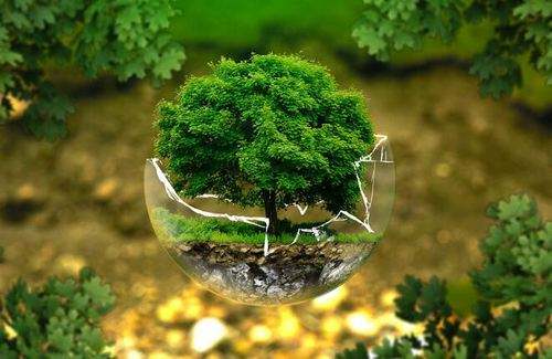 怎样实施科学的环保管理?